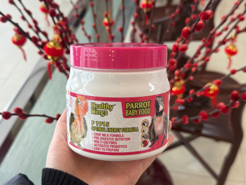 1772068333280365.png 2.png