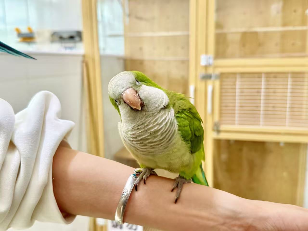 1772068467238984.jpg _cgi-bin_mmwebwx-bin_webwxgetmsgimg__&MsgID=4876985457740960369&skey=@crypt_7edf955_4a32afe8920c01697d63708569d9e4b9&mmweb_appid=wx_webfilehelper.jpg